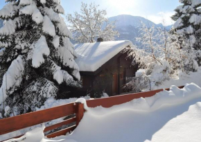 Trimka, Fiesch